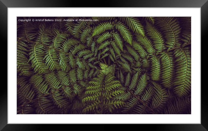 Horizontal banner shot of green fern leaves spreading out creating swirly natural pattern background. Framed Mounted Print by Kristof Bellens