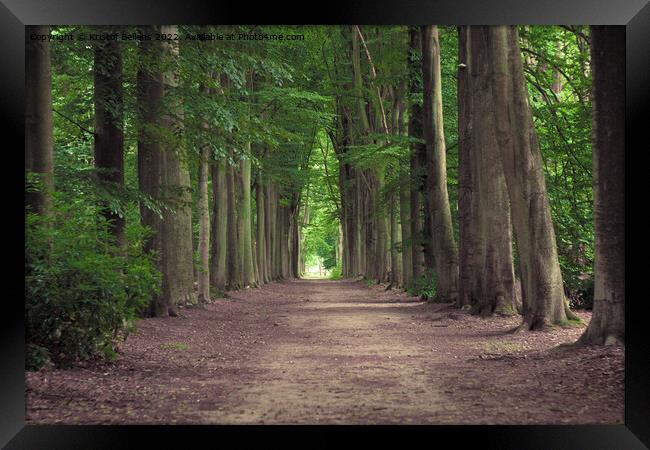Tree-lined hiking path in Mastenbos in Kapellen, Belgium. Framed Print by Kristof Bellens