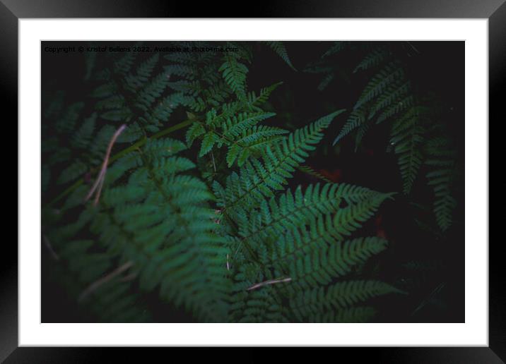 Dark and moody fern leaves background with selective focus. Framed Mounted Print by Kristof Bellens