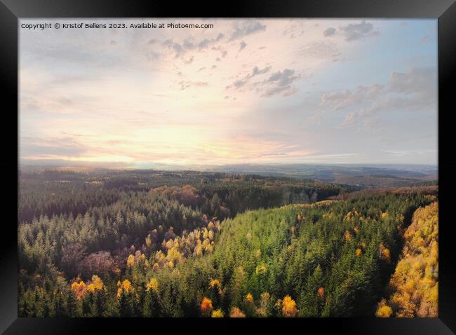 Dramatic aerial sunset over the pine tree forest in autumn in the Ardennes, Belgium. Framed Print by Kristof Bellens