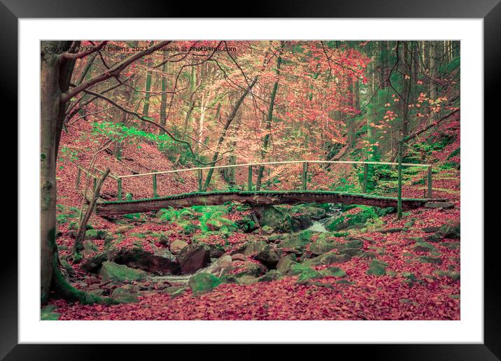 Foot bridge over a creek in the forest during a hike in autumn. Framed Mounted Print by Kristof Bellens