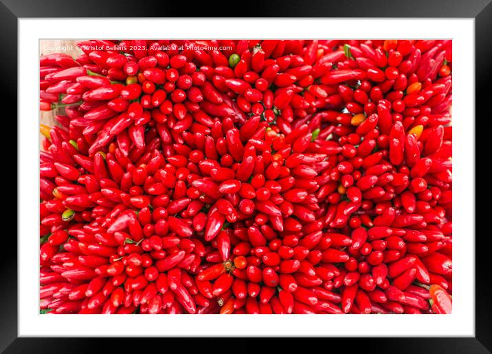 Bunches of red hot chilli peppers in close-up Framed Mounted Print by Kristof Bellens