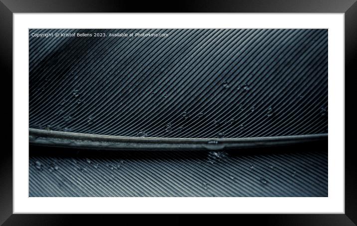 Feather pattern with rachis, barbs and water drops Framed Mounted Print by Kristof Bellens