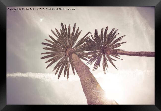 Low angle view on palm trees in a tropical travel  Framed Print by Kristof Bellens