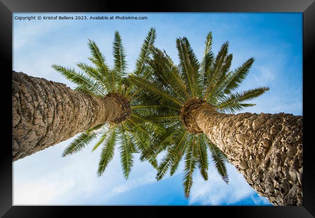 Low angle view on two palm trees shot directly into the sun. Framed Print by Kristof Bellens