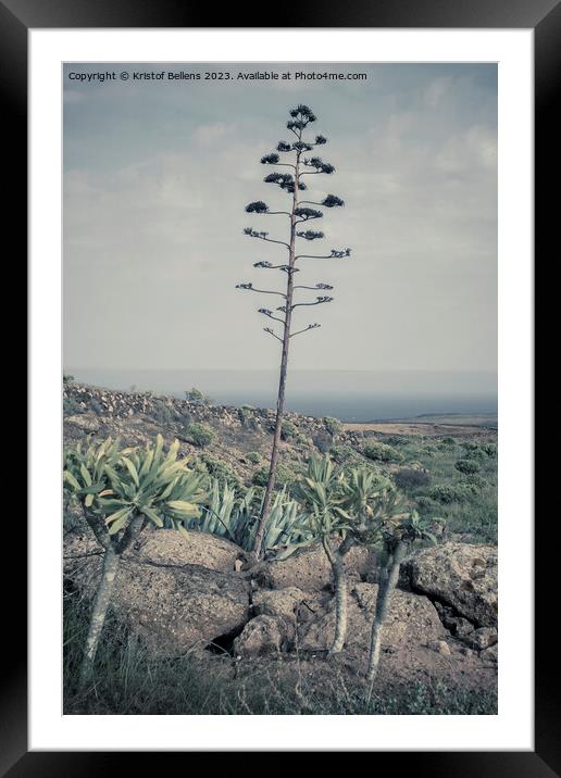 Vertical and cinematic view on Lanzarote natural landscape with Agave stem Framed Mounted Print by Kristof Bellens