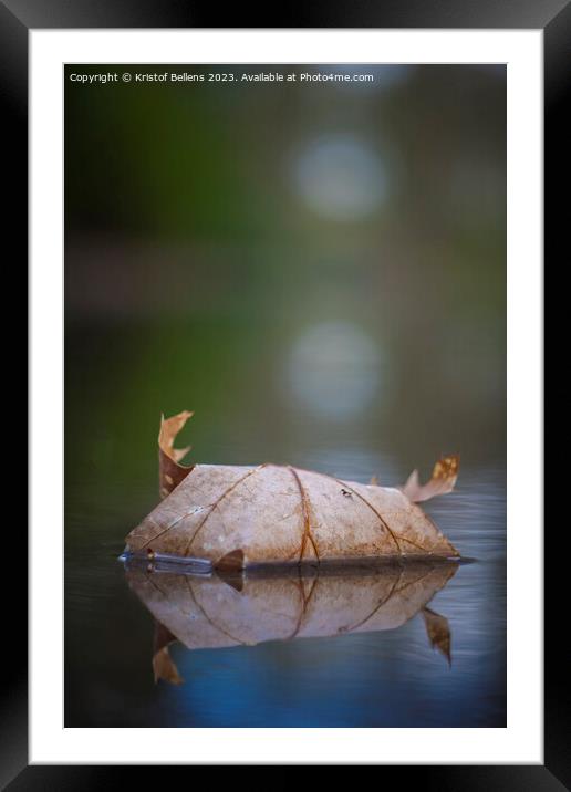 Vertical closeup shot of Autumn leaf in quiet water with reflections and blurry background. Framed Mounted Print by Kristof Bellens