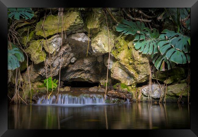 tropical garden pond with waterfall and rock wall Framed Print by Kristof Bellens