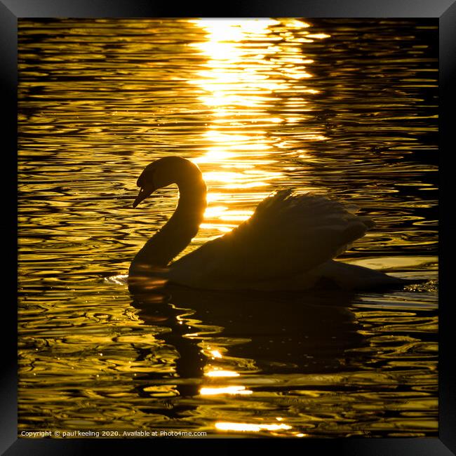 Swan lake Sunset Framed Print by Paul Keeling