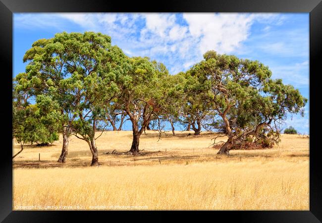 Under the clouds - Mintaro Framed Print by Laszlo Konya