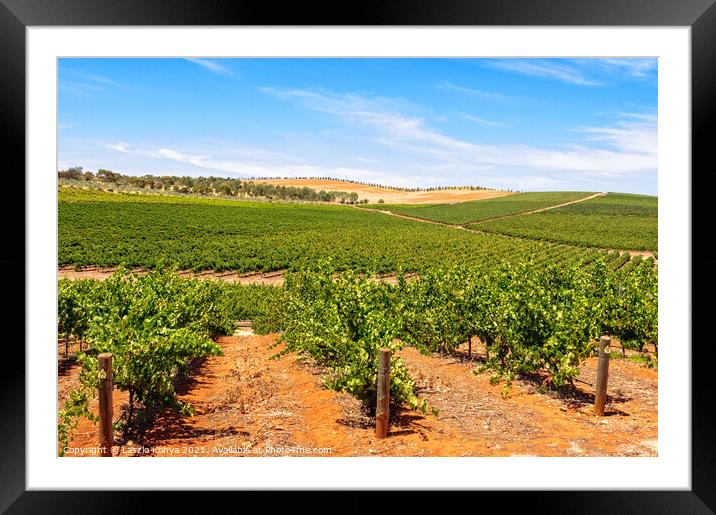 Vineyards - Clare Valley Framed Mounted Print by Laszlo Konya