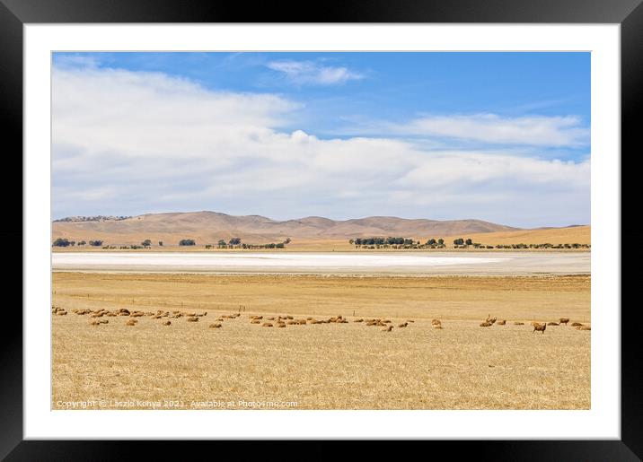 Dry salt lake - South Australia Framed Mounted Print by Laszlo Konya