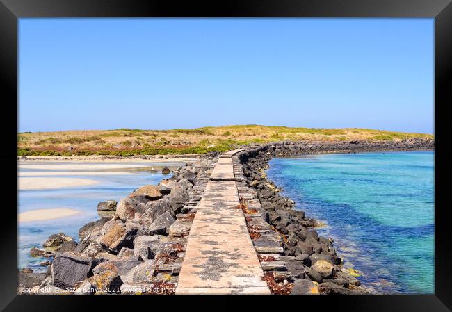 Griffiths Island Reserve - Port Fairy Framed Print by Laszlo Konya