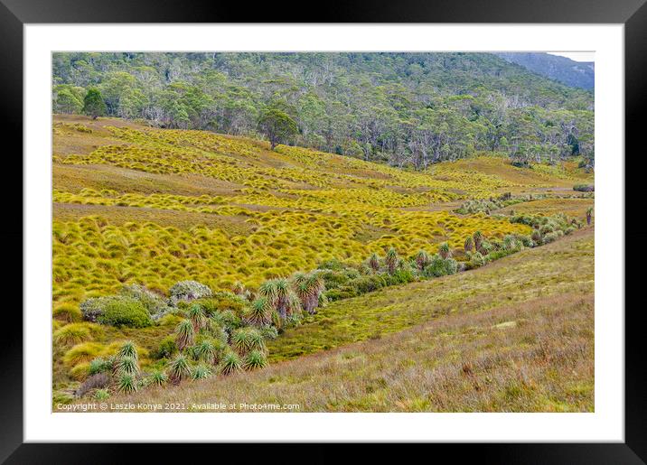 Grassland - Cradle Mountain Framed Mounted Print by Laszlo Konya