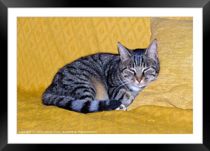 Snoozing cat - Uopini Framed Mounted Print by Laszlo Konya