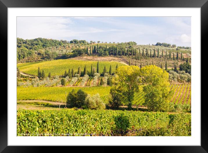 Tuscan countryside - Montalcino Framed Mounted Print by Laszlo Konya