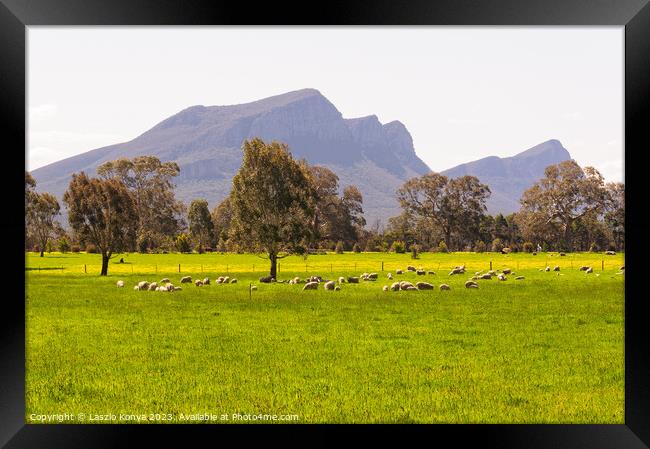 Green pastures - Dunkeld Framed Print by Laszlo Konya