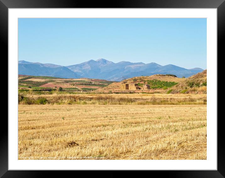 After harvest - Najera Framed Mounted Print by Laszlo Konya