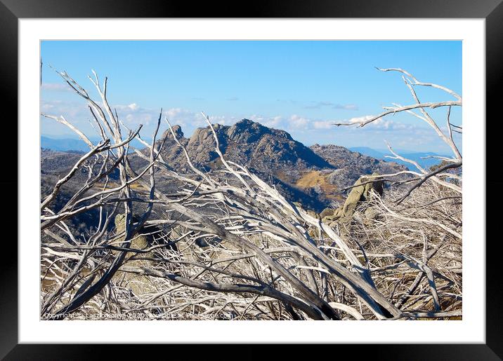 View from The Horn - Mt Buffalo Framed Mounted Print by Laszlo Konya