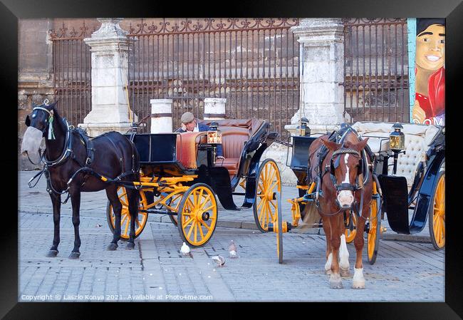 Horse Carriage Driver - Seville  Framed Print by Laszlo Konya
