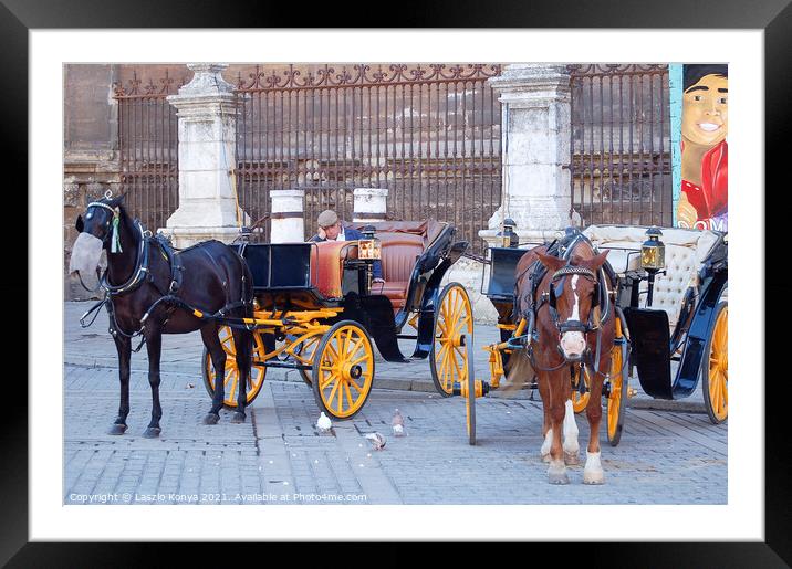 Horse Carriage Driver - Seville  Framed Mounted Print by Laszlo Konya