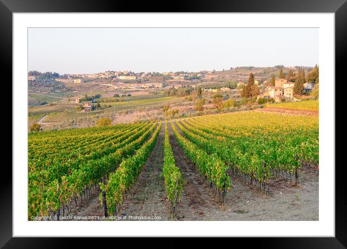 Vineyard - Panzano Framed Mounted Print by Laszlo Konya