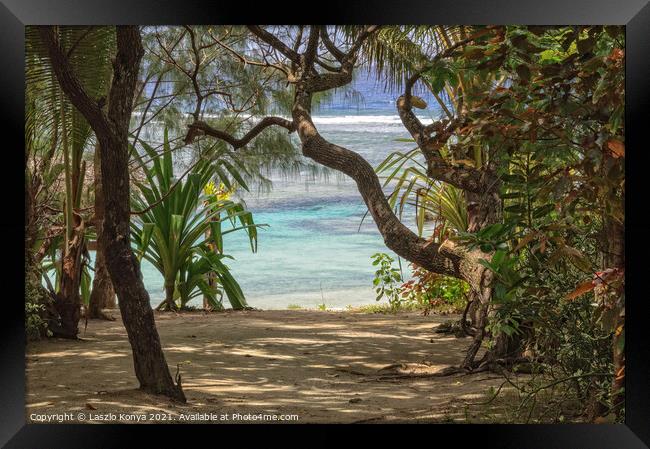 To the beach - Efate Island Framed Print by Laszlo Konya