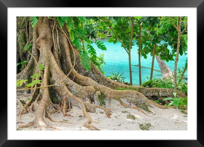 Giant Roots - Efate Island Framed Mounted Print by Laszlo Konya