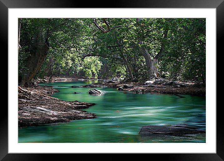  Rainforest river Framed Mounted Print by Ian Turnell