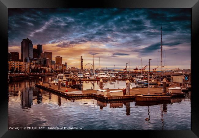 Seattle marinescape. Framed Print by Eti Reid
