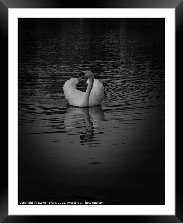 Swan lake Framed Mounted Print by Darren Evans