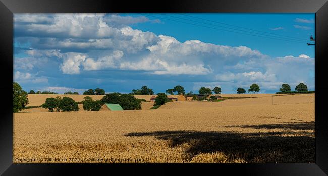 Serene Summer Wheat Field Framed Print by Cliff Kinch