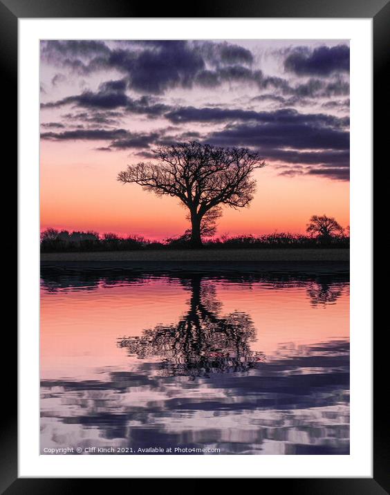 Dawn behind a lone tree  Framed Mounted Print by Cliff Kinch