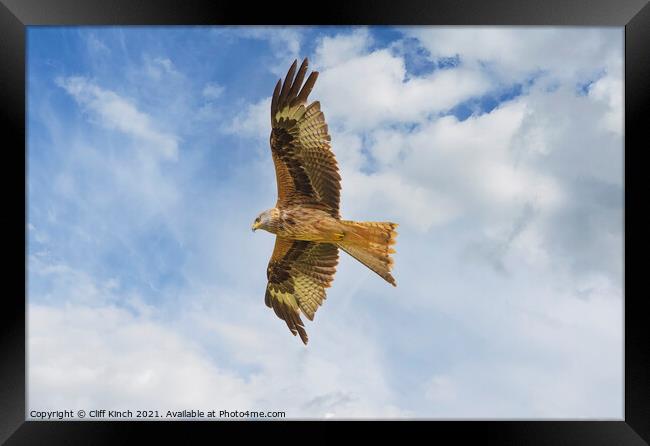 Rek Kite in flight Framed Print by Cliff Kinch