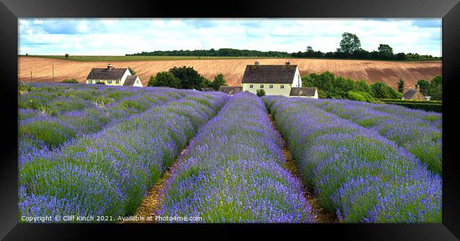 Cotswold Lavender Snowshill Framed Print by Cliff Kinch