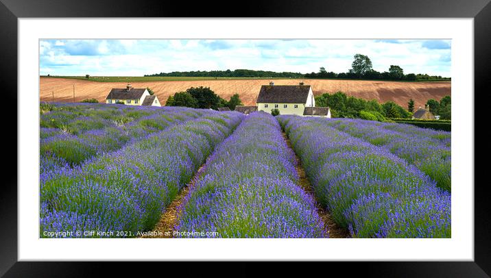 Cotswold Lavender Snowshill Framed Mounted Print by Cliff Kinch