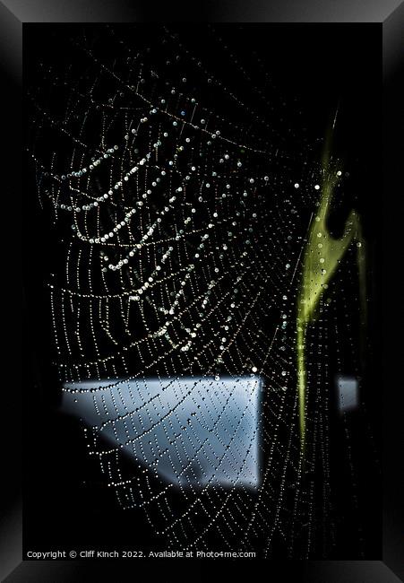 Dewdrops clinging to a cobweb Framed Print by Cliff Kinch