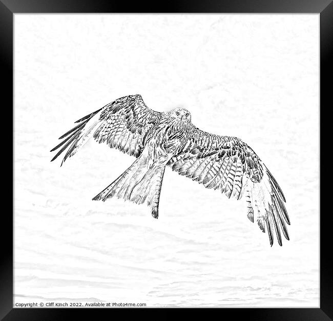 Red Kite in flight pencil effect Framed Print by Cliff Kinch