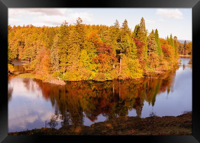 Tarn Hows Autumn Framed Print by Cliff Kinch