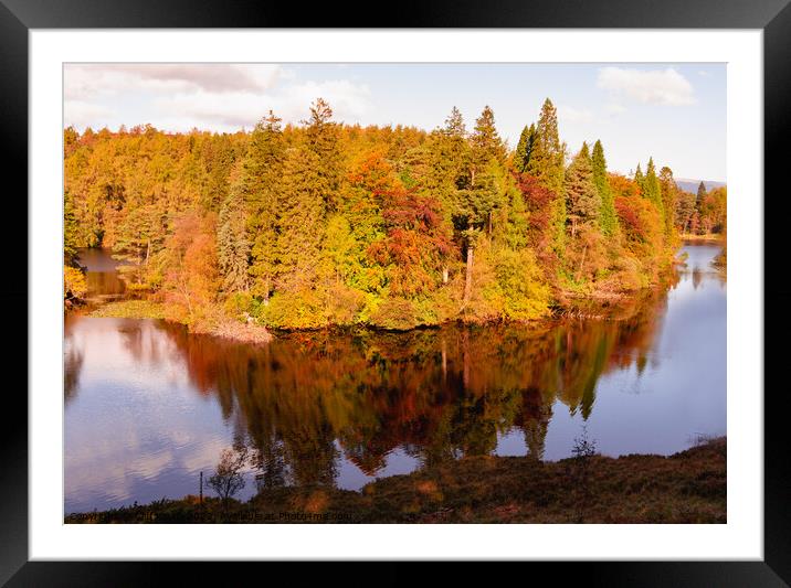Tarn Hows Autumn Framed Mounted Print by Cliff Kinch