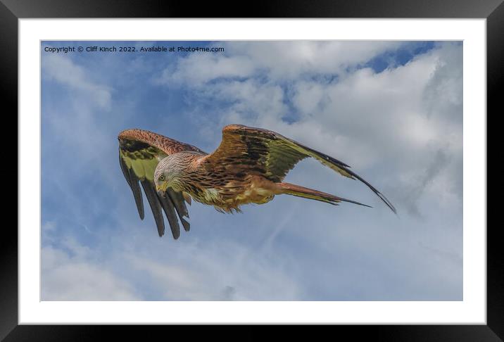 Majestic Red Kite Soars Across the Sky Framed Mounted Print by Cliff Kinch