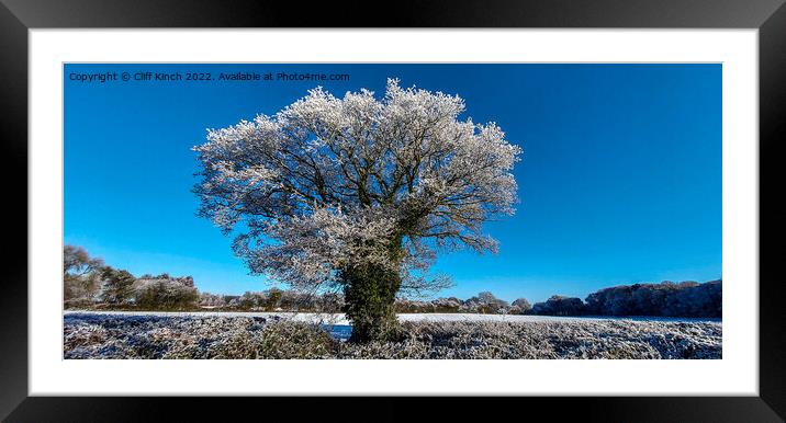 Majestic Oak Tree in Winter Wonderland Framed Mounted Print by Cliff Kinch