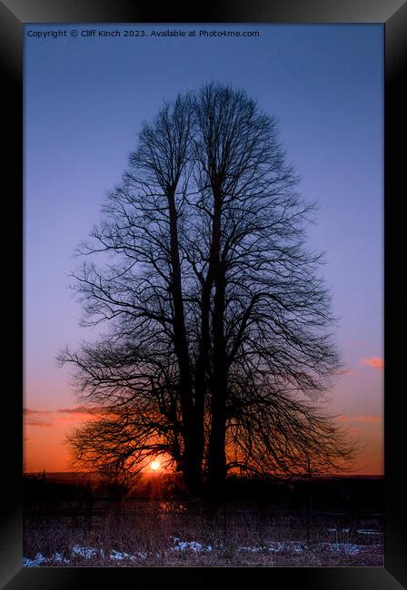 Sunset under the elm Framed Print by Cliff Kinch