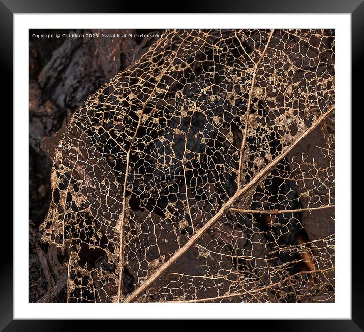 Leaf decay abstract Framed Mounted Print by Cliff Kinch