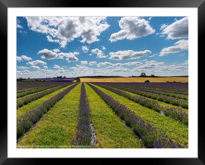 Cotswold Lavender Framed Mounted Print by Cliff Kinch