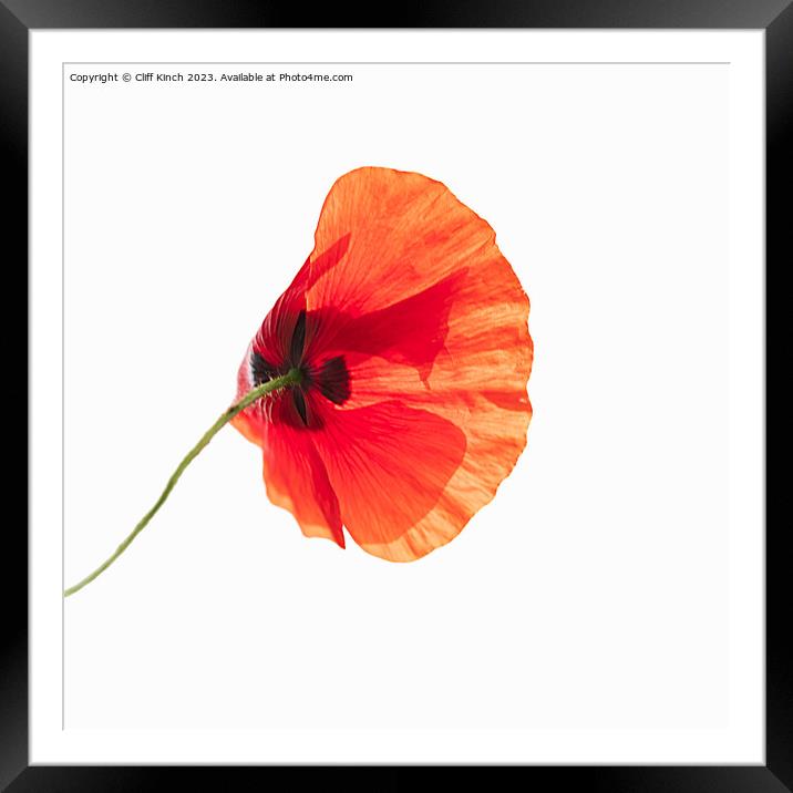 Fiery Remembrance Framed Mounted Print by Cliff Kinch