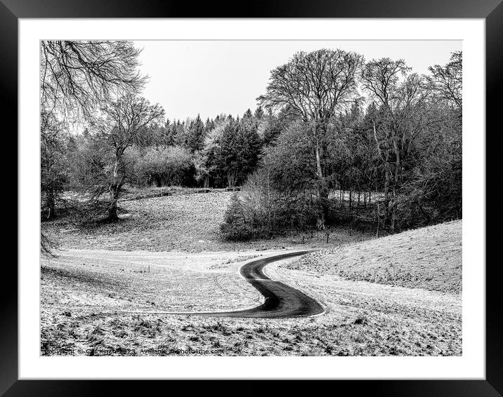 Winter Trail Framed Mounted Print by Cliff Kinch