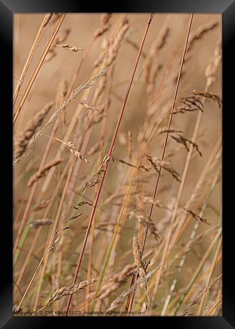 "Nature's Symphony" Framed Print by Cliff Kinch