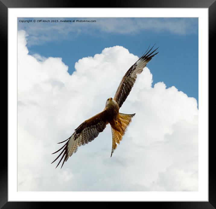Soaring Red Kite Against Sky Framed Mounted Print by Cliff Kinch