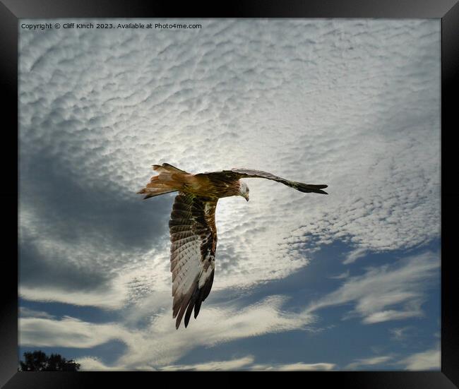 Soaring Red Kite Amidst Clouds Framed Print by Cliff Kinch
